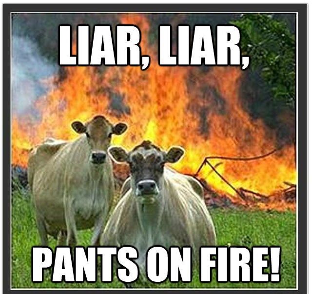 fire cow meme